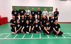 lehrgangsteilnehmer tai chi in ungarn